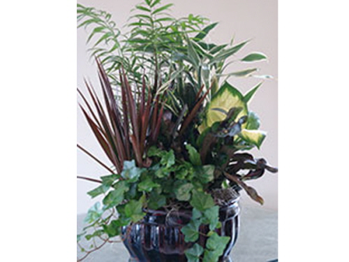 product resp-image