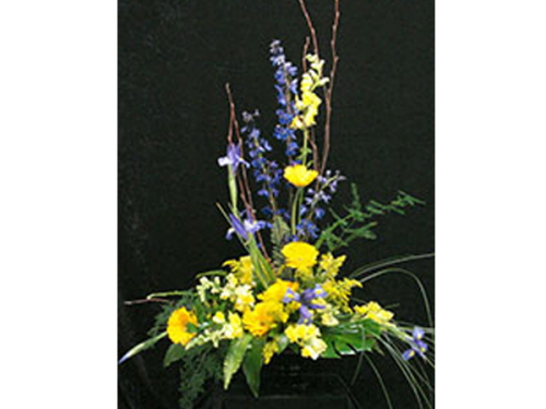 product resp-image