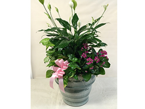 product resp-image