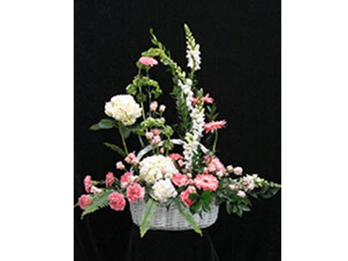 product resp-image