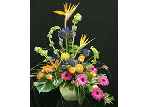 product resp-image