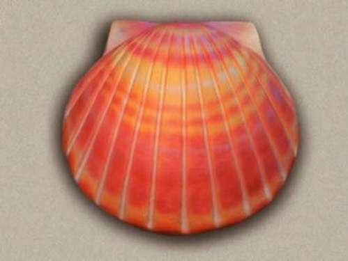 product resp-image