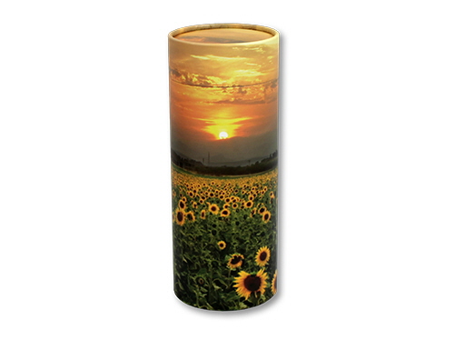 product resp-image