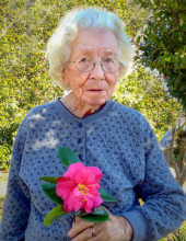 Allie Mae Nobles Ward