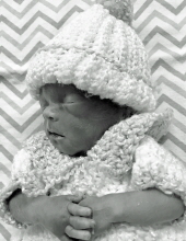 Finn Luke Brady