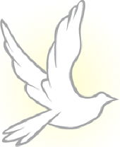 RAYMOND SAMUEL 'RAY' KINNEMAN