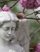 Kathleen M. Crook