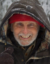 DANIEL POWELL HORNBOGEN, JR.