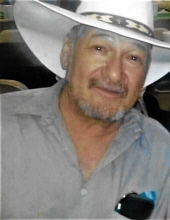 Ramiro E. Davalos
