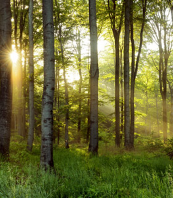 Robert E. Bryan Jr. Warren, Ohio Obituary