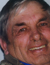 Robert Alexander Murray