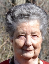Doina V. Craciun