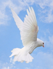 Nancy S. Keay
