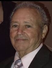 Domenico Amodeo