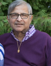 Ignatius Armando Menezes