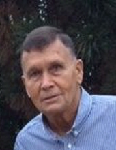 Patrick C Pearson