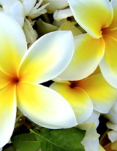 Donna J Rooker - McNabb Funeral Home
