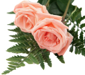 Thelma Rose Oslanski