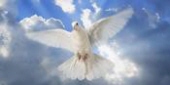 Glenda Gail Forster