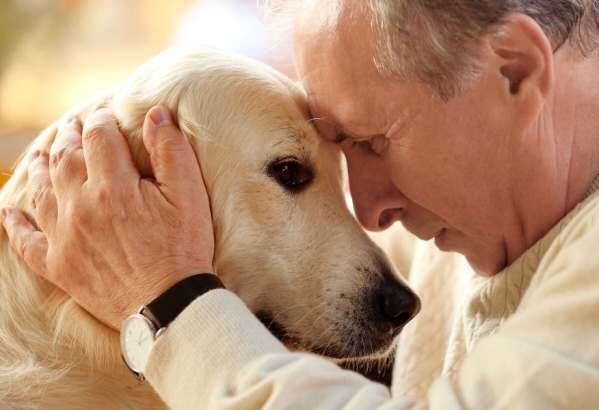 A Complete Guide to Choosing the Right Urn for Pet Ashes
