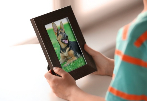 4 Thoughtful Keepsakes That Will Memorialize Your Pet
