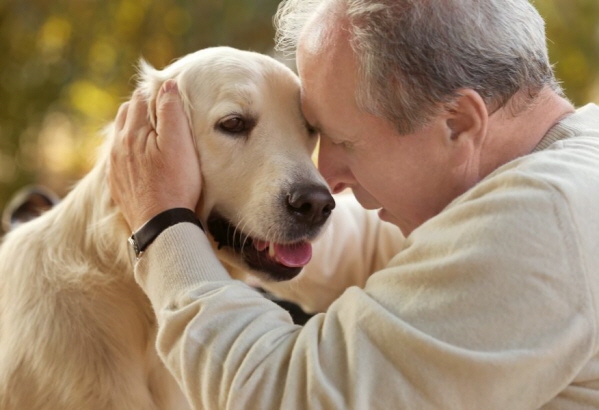 4 Ways To Help Seniors Handle the Loss of a Pet