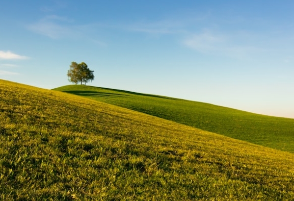 cremation services waukesha wi