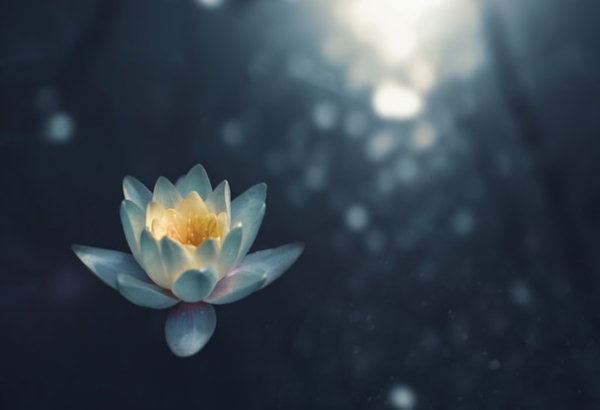cremation services new berlin wi