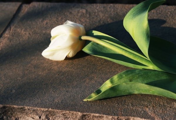 cremation services Milwaukee, WI