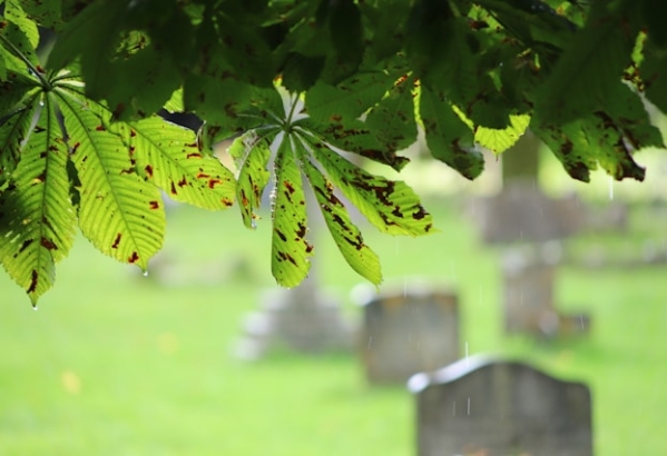 funeral homes West Allis, WI