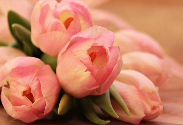 Our Blog Daniel F O Riley Funeral Home Indianapolis In