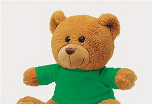 Teddy Bears are love ♥