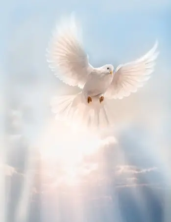 Kathleen Marie Egan 43322160