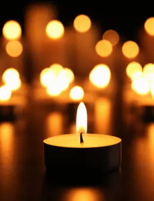 Saryu H. Trivedi 43044013