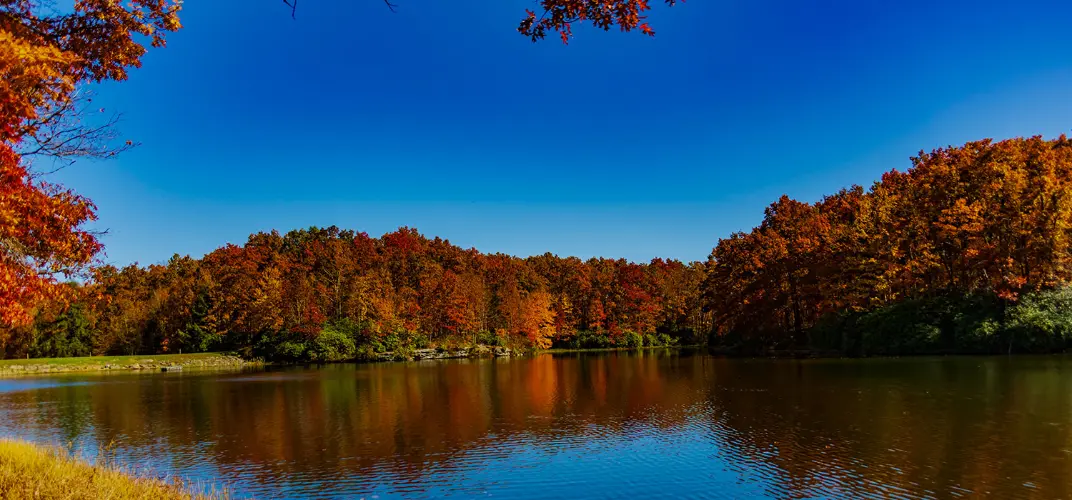 Randolph Funeral Home & Cremation Services | Valley Bend