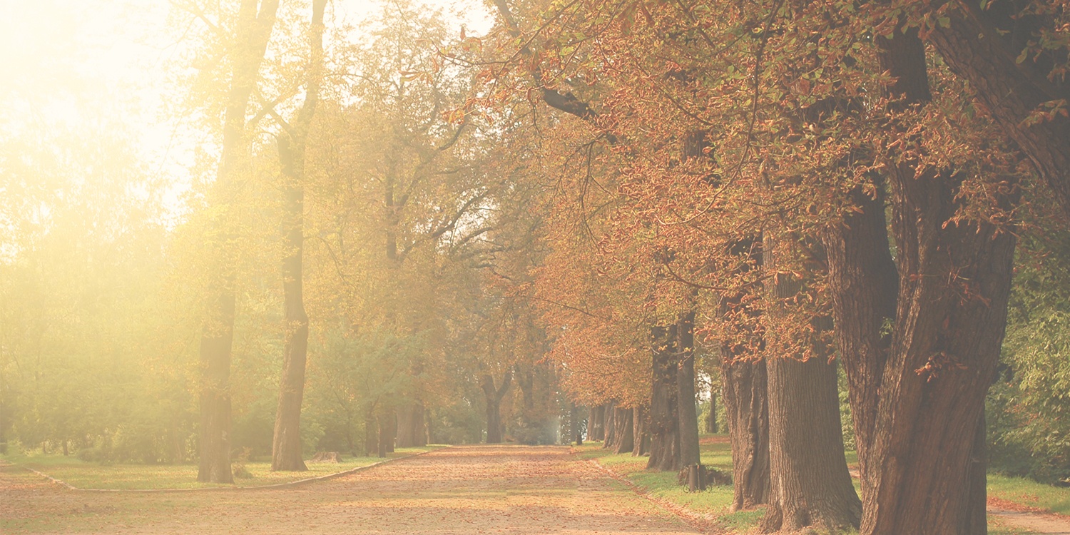 Hoxie, KS Funeral Home & Cremation Mickey Leopold Funeral Home