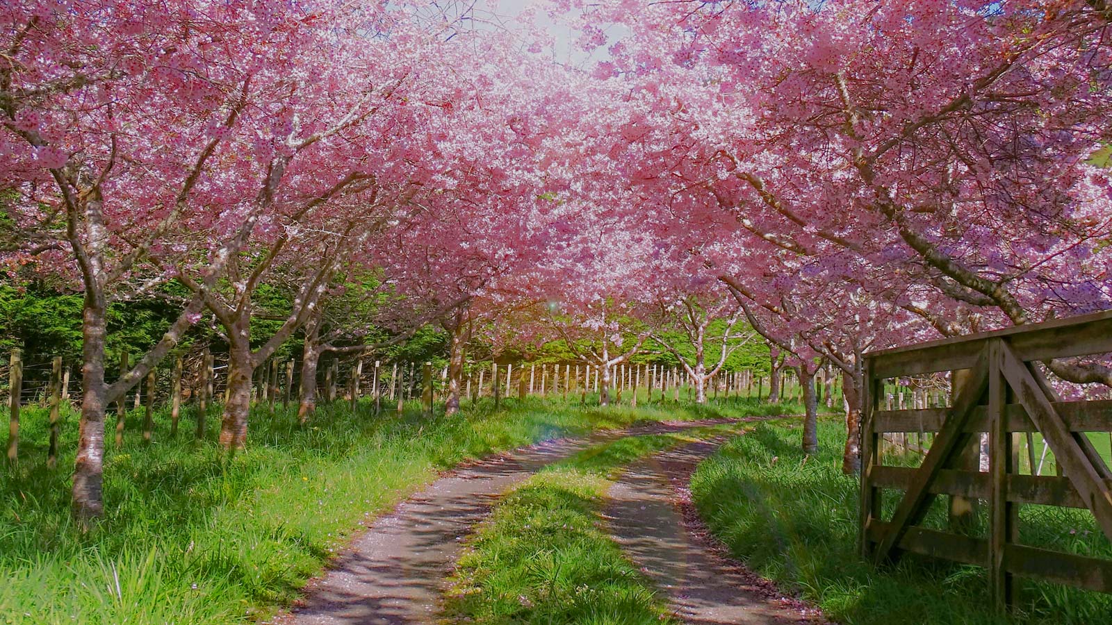 Yorktown Heights Ny Funeral Home Cremation Clark Funeral Home