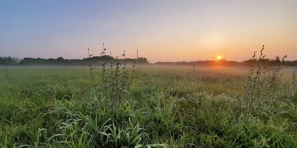 RuschmeierSmith Funeral Home Green City, and Milan Fun...