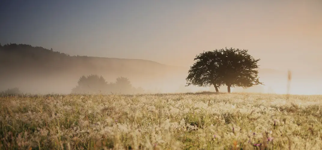 Gaffney-Busha Funeral Home | Eagle River, WI Funeral Home...