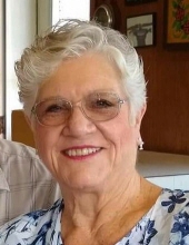 Judy Lee Schneider