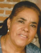 Margarita  F.  Mora Hernandez