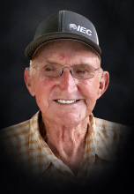 Bill Lee Long Obituary