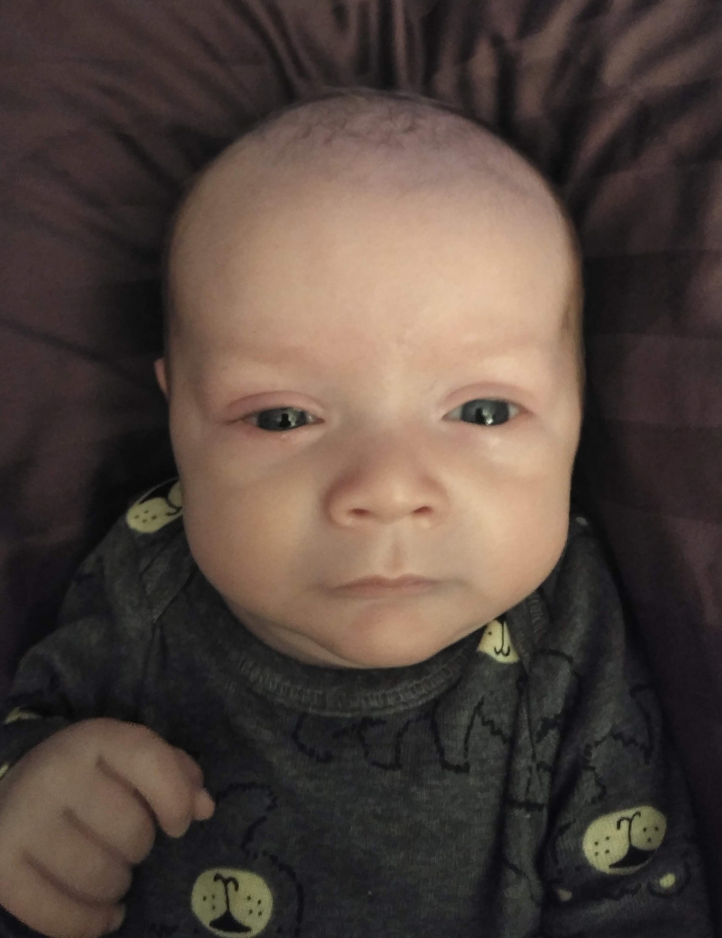 Levi Edmund Knox Rooker Obituary Visitation Funeral Information