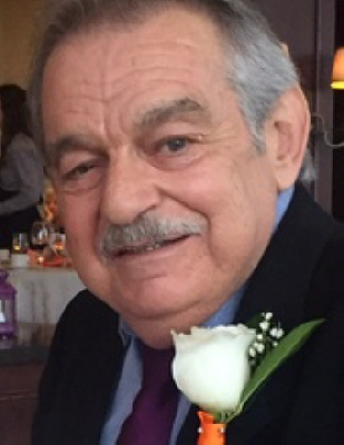 Paul Ross Cook Stayner, Ontario Obituary
