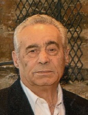 Photo of Domenico Spagnolo
