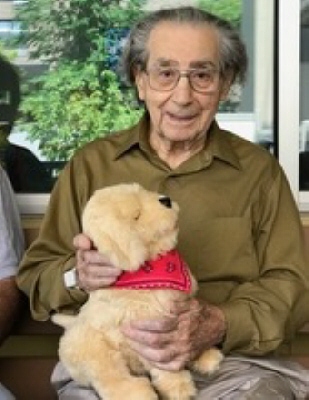 Nicholas J Migliaccio 10952936