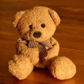 Mr. Jerry Wayne "Teddy Bear" Ryan 1126191