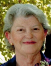 Janet E.  Davidson