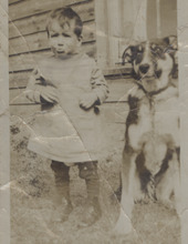 rutherford pet cremation