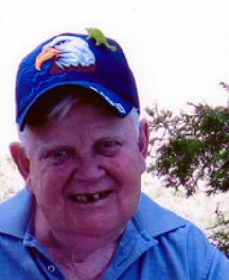 Alvin William Ross Mitchell Lindsay, Ontario Obituary